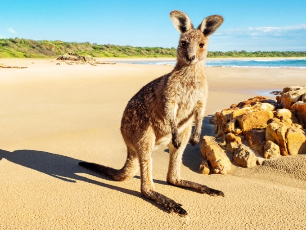 best time to visit Australia