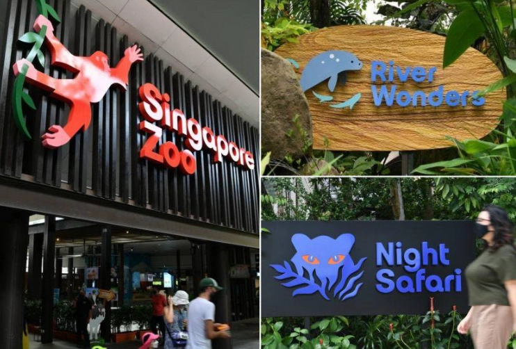 Singapore travel guide Singapore travel guide