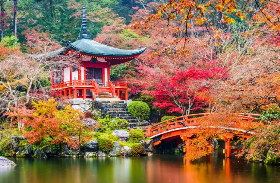 things to do in Japan things to do in Japan