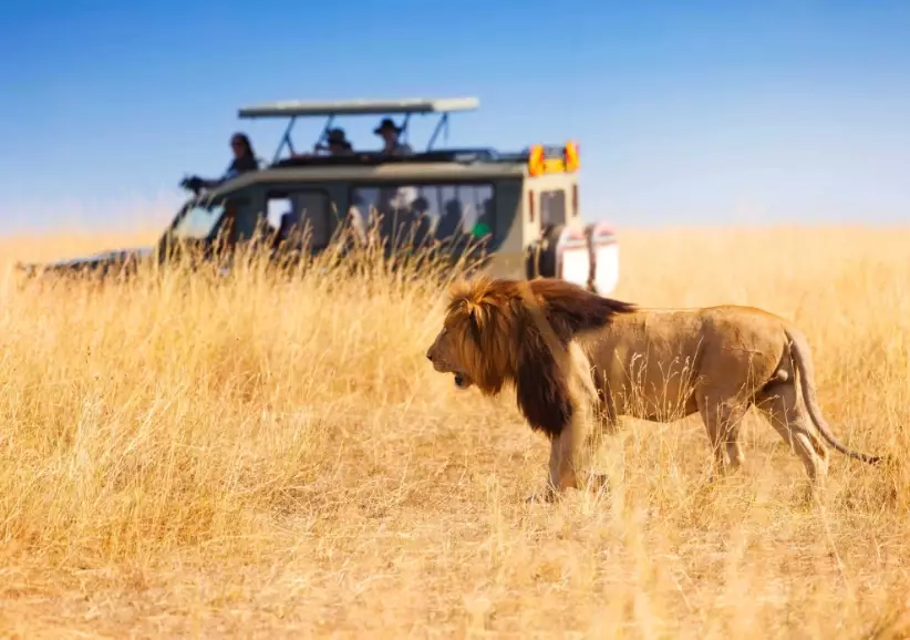 African safari cost African safari cost