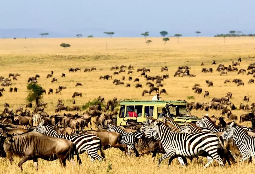 African safari cost African safari cost