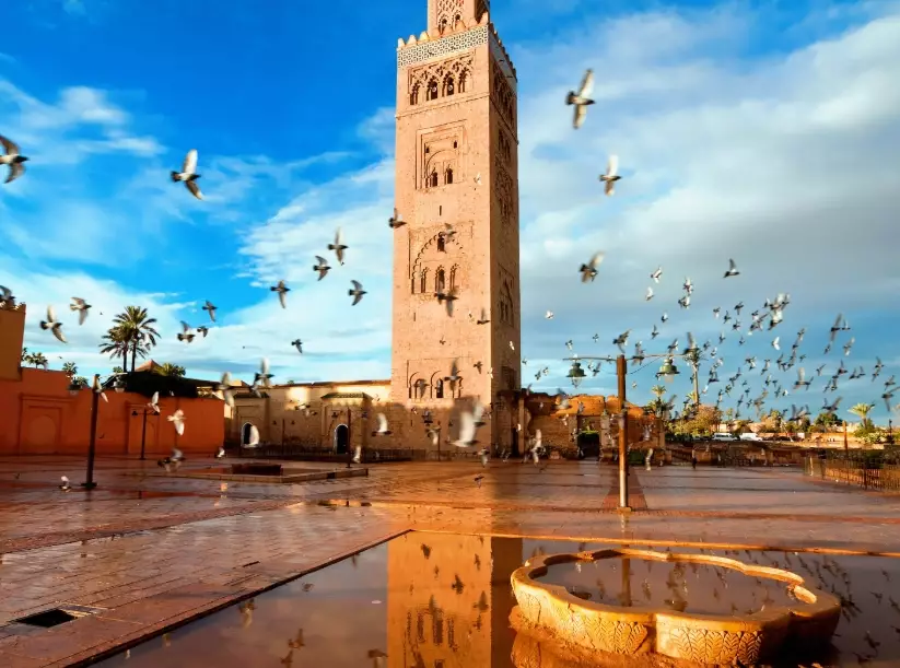 Marrakech travel tips