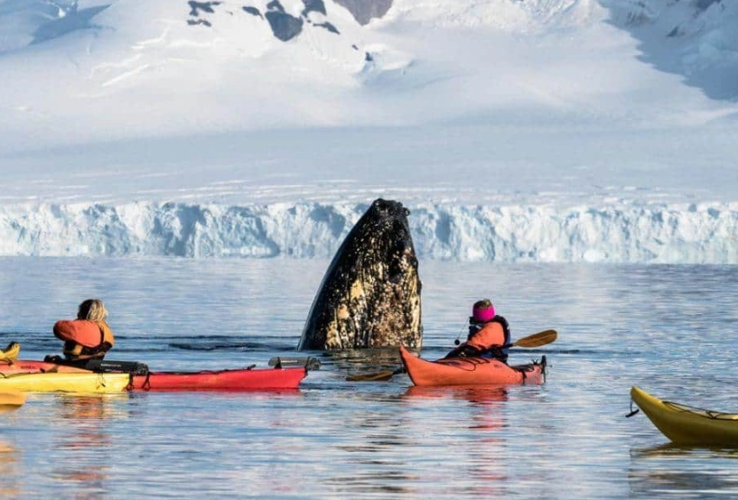 Antarctica travel guide