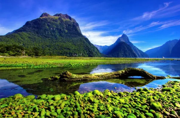 Is New Zealand safe to travel Is New Zealand safe to travel