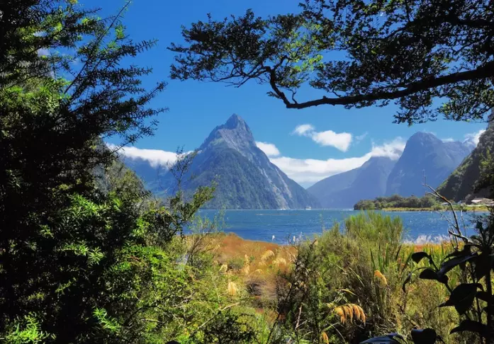 cost to travel New Zealand cost to travel New Zealand