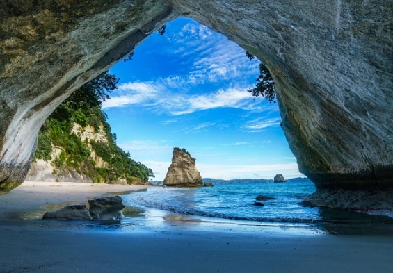 New Zealand tourism cost New Zealand tourism cost