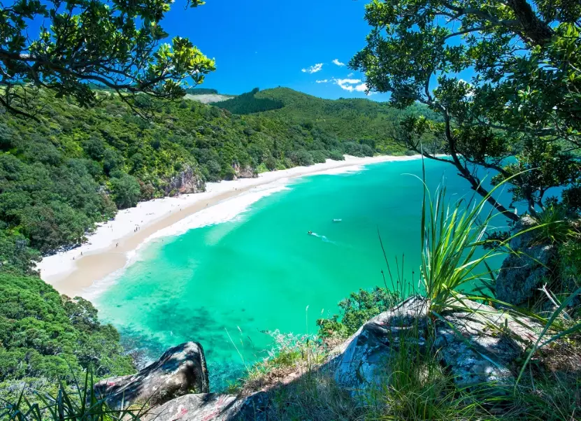 New Zealand travel cost New Zealand travel cost