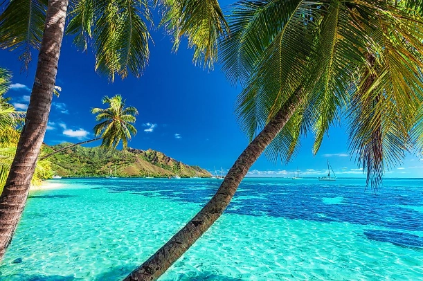 Tahiti tourism from USA