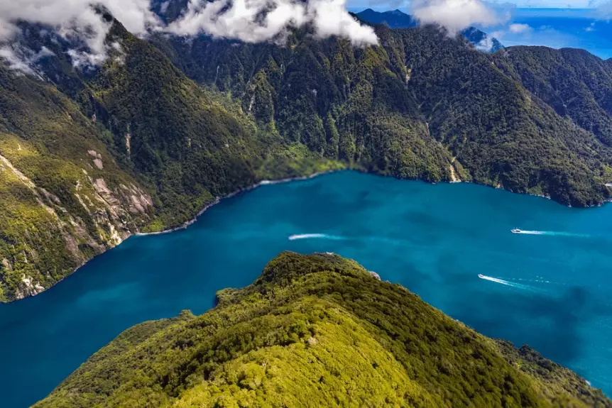 New Zealand visitor statistics