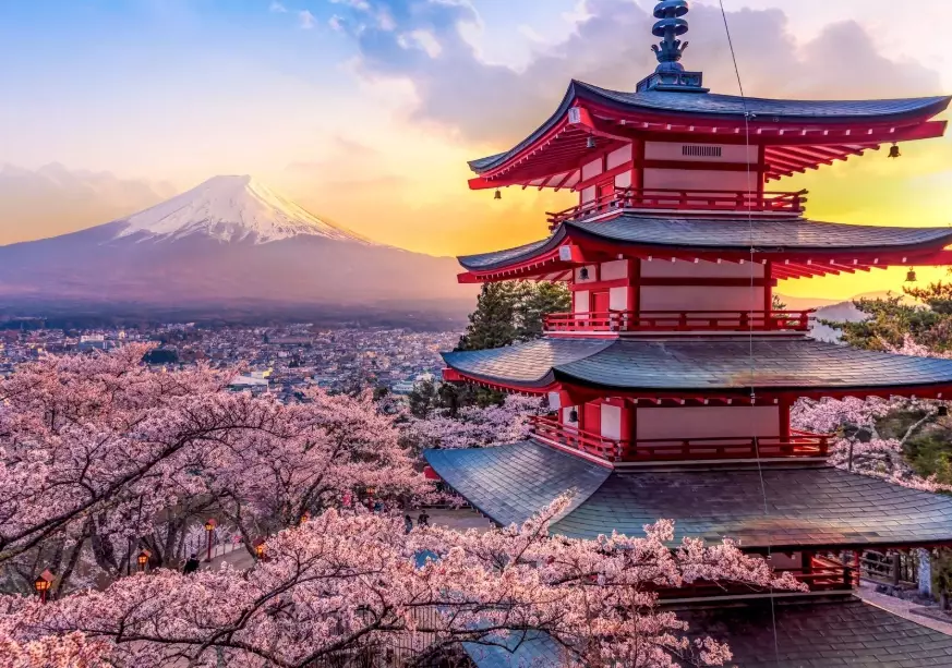 Japan trip cost from India