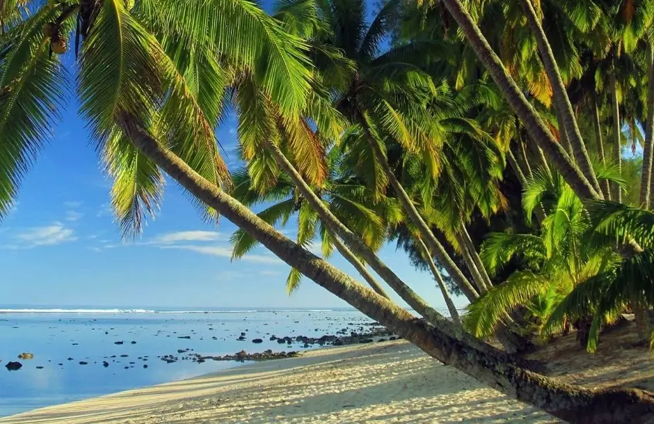 Cook islands trip cost