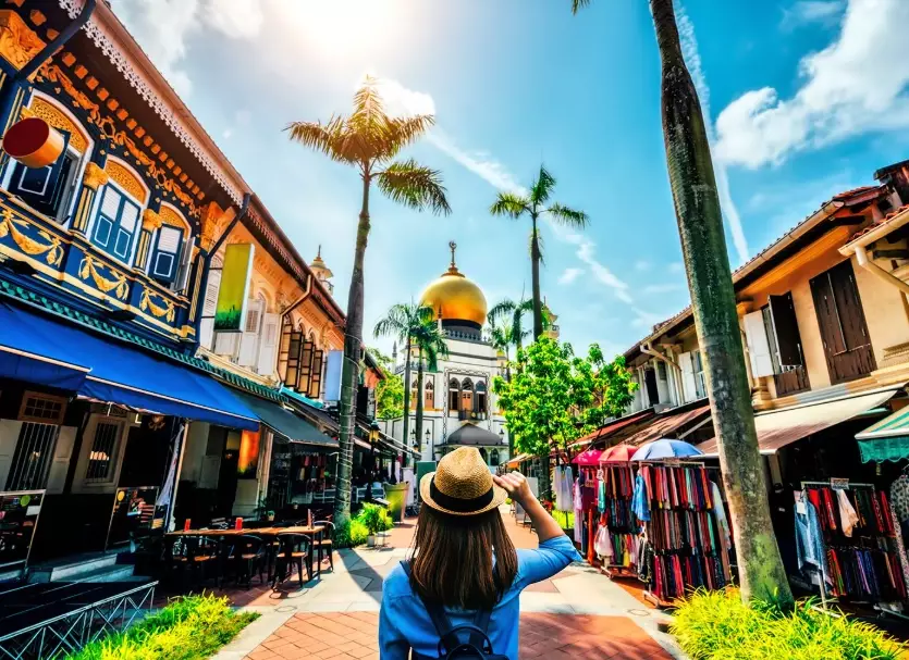 Singapore tourism statistics Singapore tourism statistics