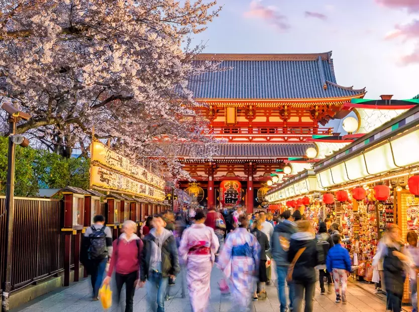 Japan visitor statistics by country