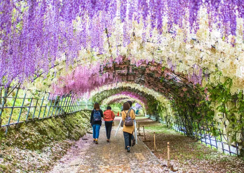 Japan tourist friendly