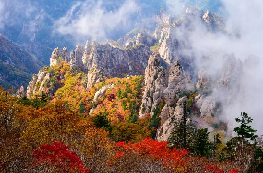 South Korea travel guide