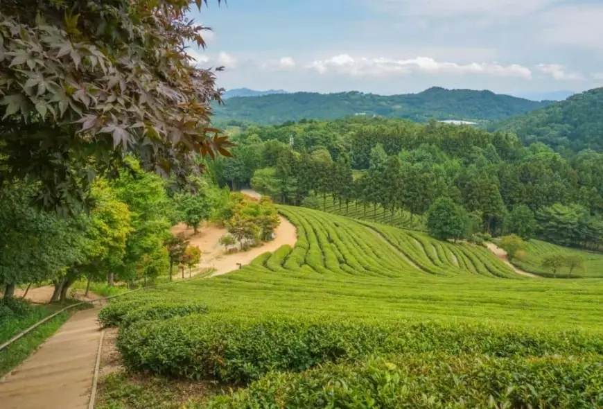 South Korea tourism places