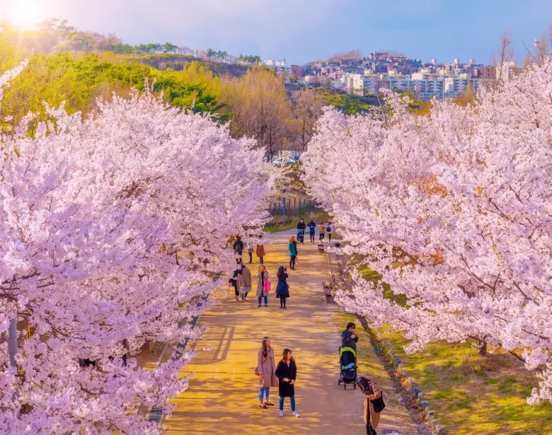 3 day rule Korea 3 day rule Korea