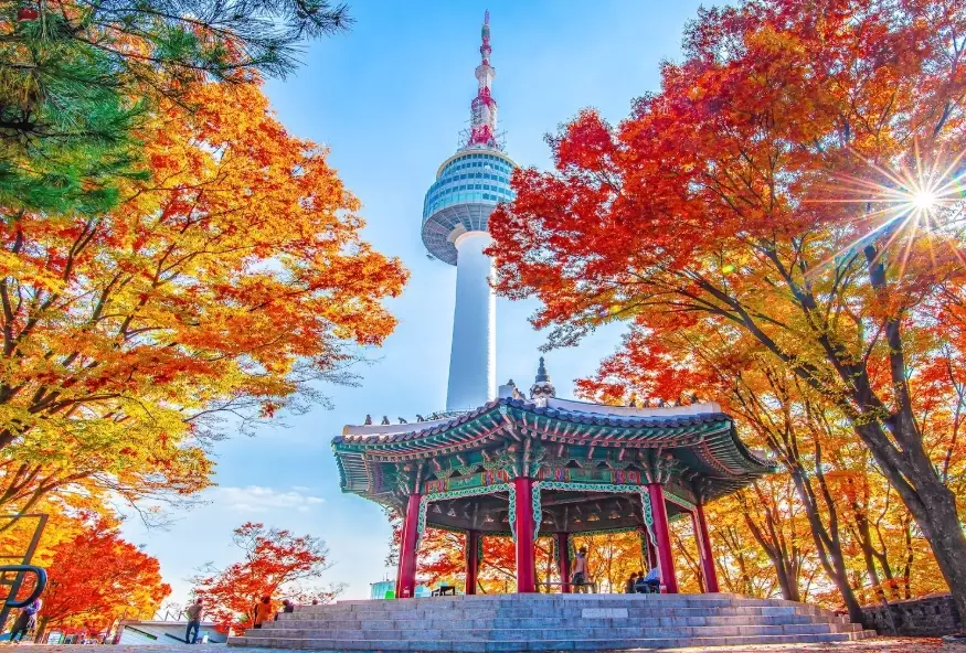 3 day rule Korea 3 day rule Korea