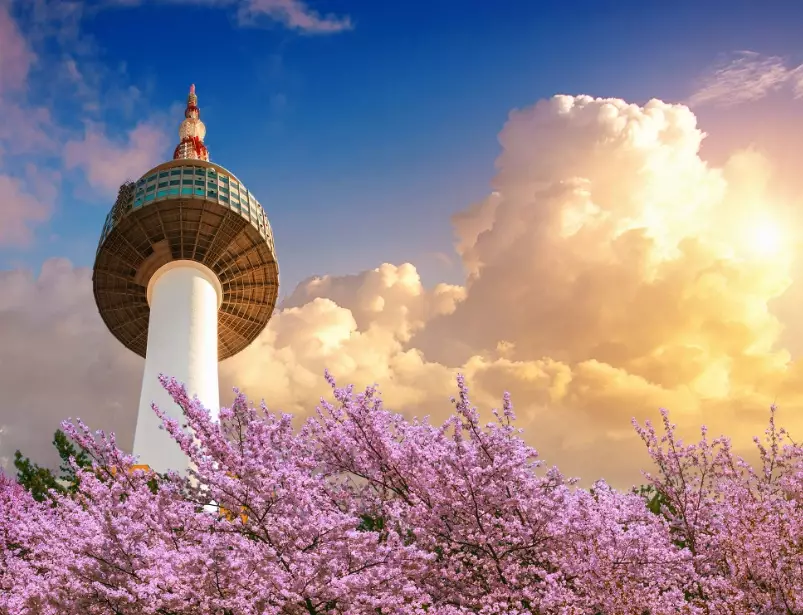 work life balance Korea work life balance Korea