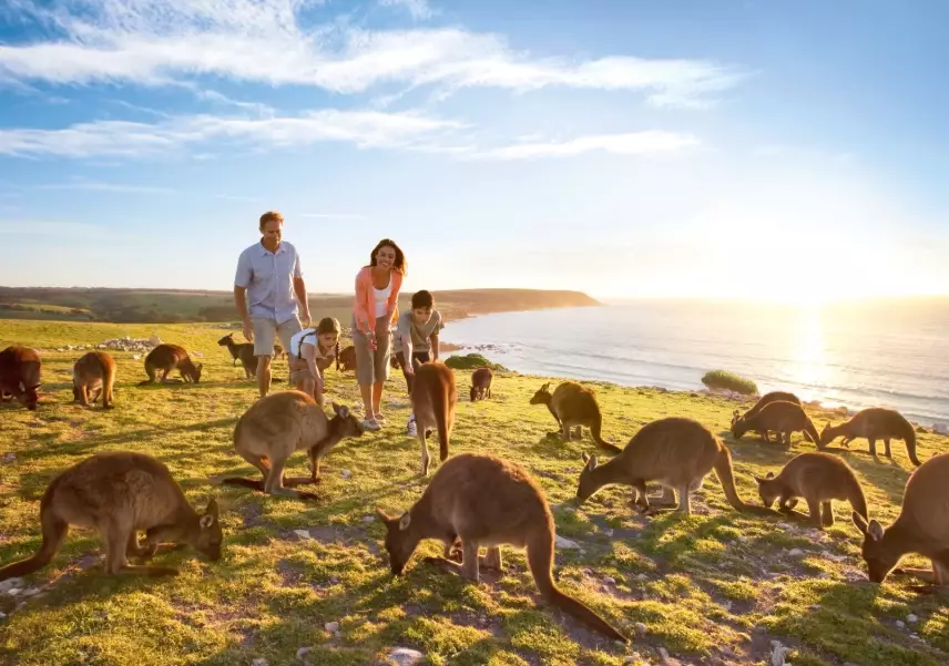 tourism jobs Australia