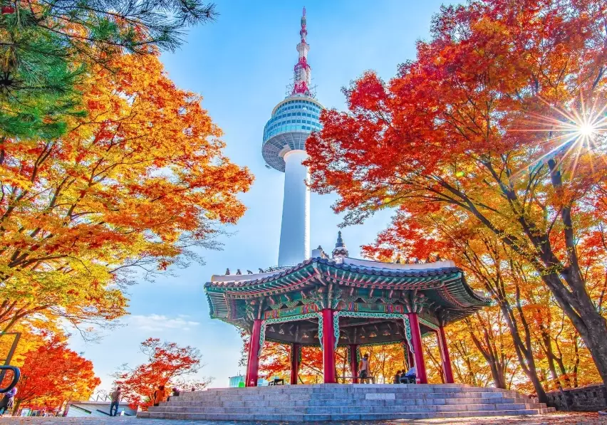 South Korea labor law South Korea labor law