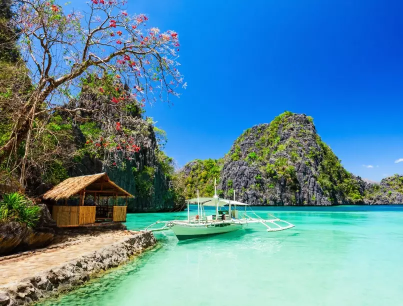 purpose of visiting Philippines purpose of visiting Philippines