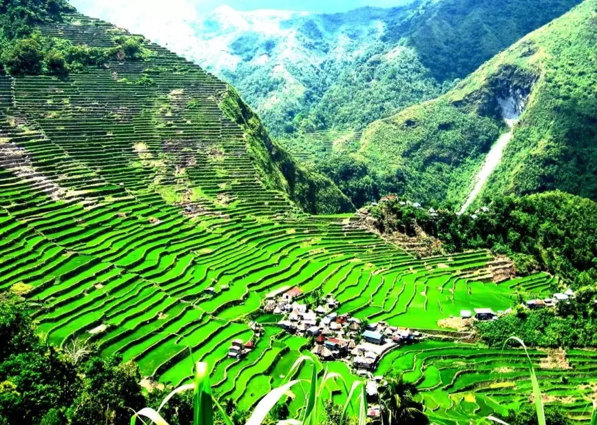 tourist arrivals Philippines