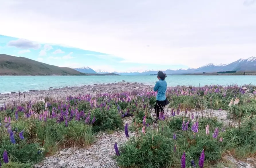 New Zealand Auckland travel