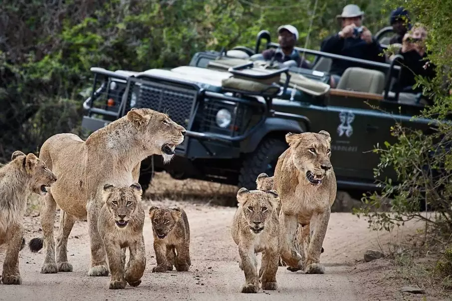 Best african safaris