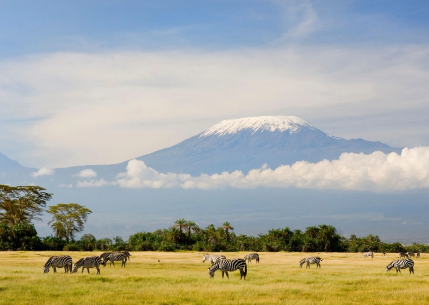 top african national parks top african national parks