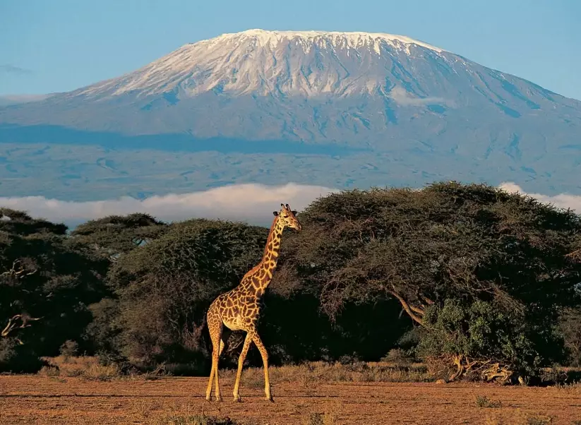 safari planning guide safari planning guide