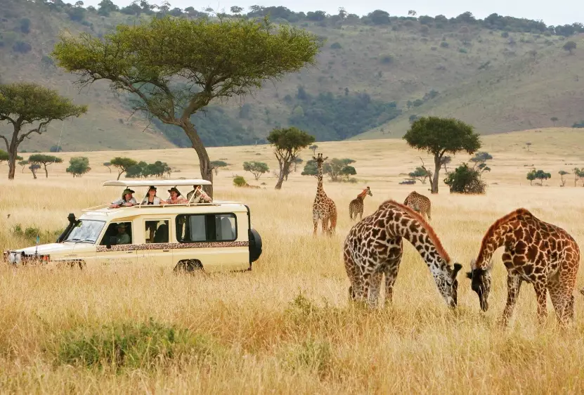 planning an African safari