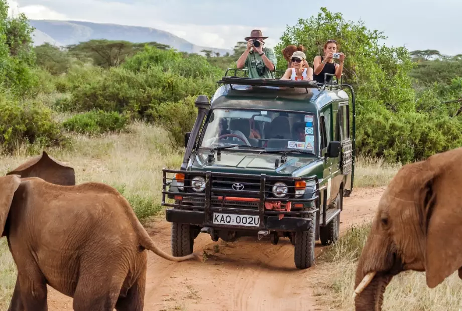 What is the best African safari to go on?