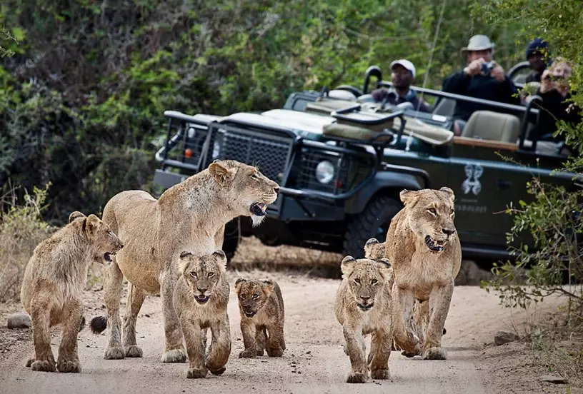 best African safari destinations