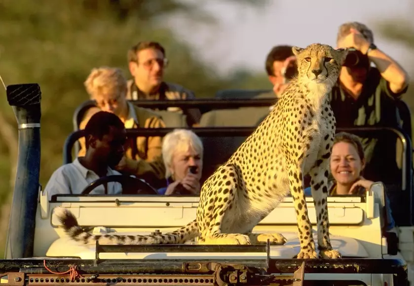 best African safari destinations