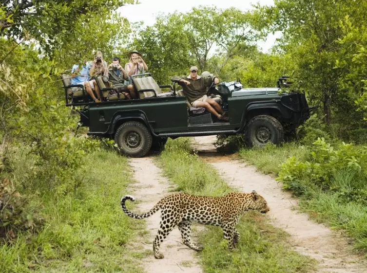 What is the average cost of an African safari trip?
