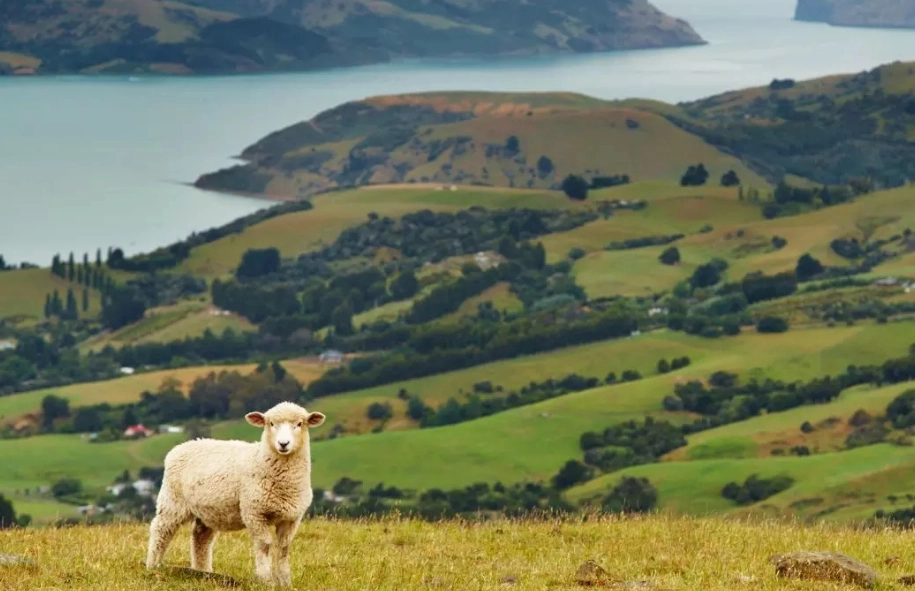 overtourism New Zealand