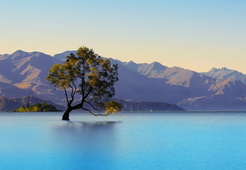 What is the 97 rule in Spain?