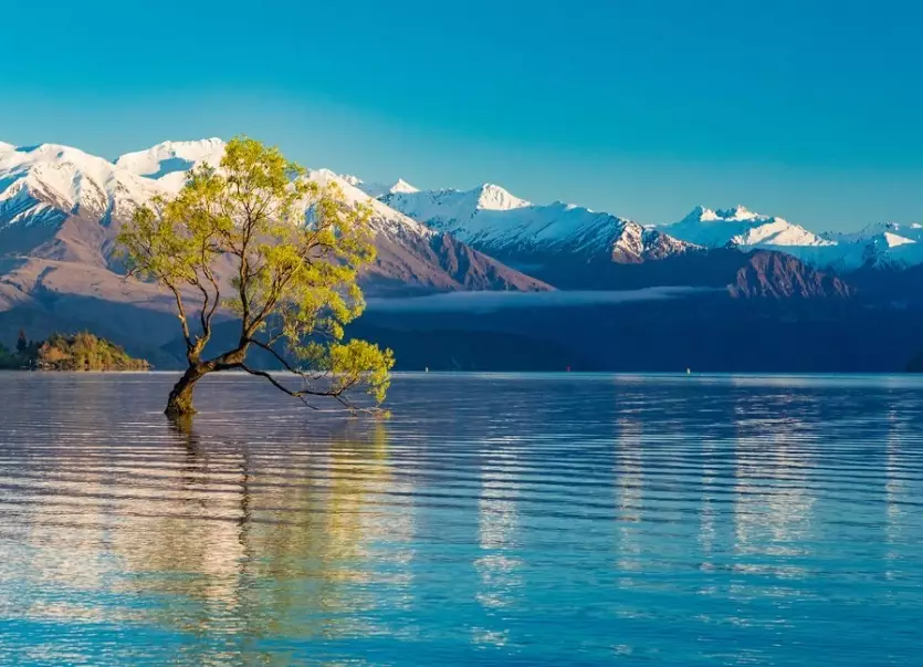 7 days in New Zealand