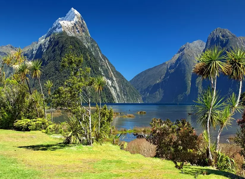 one week in New Zealand