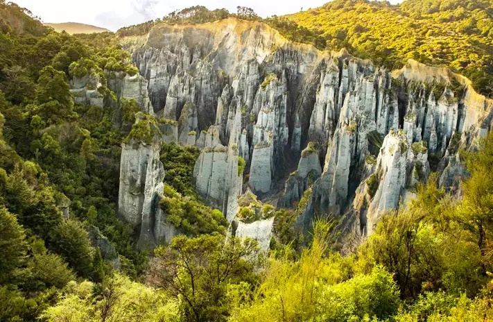 New Zealand filming locations