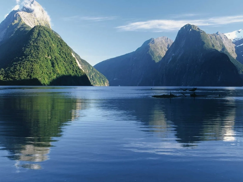 new zealand weather by month