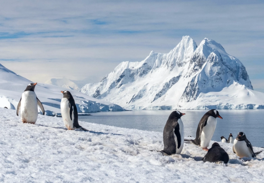antarctica tours