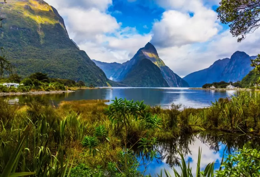 Milford Sound travel guide