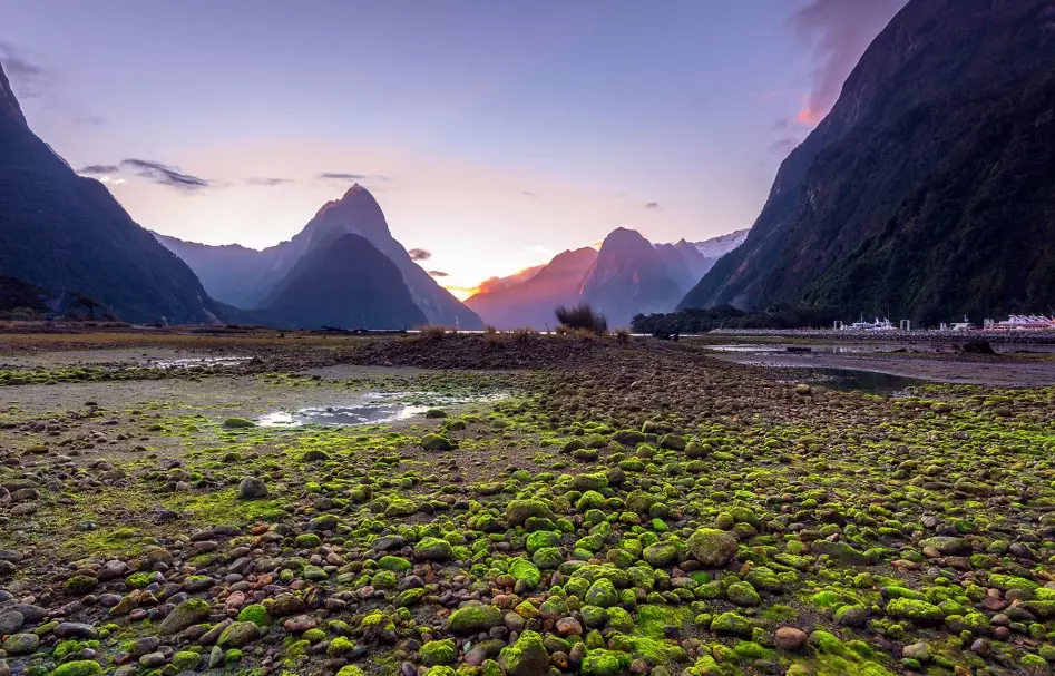 2 weeks in New Zealand