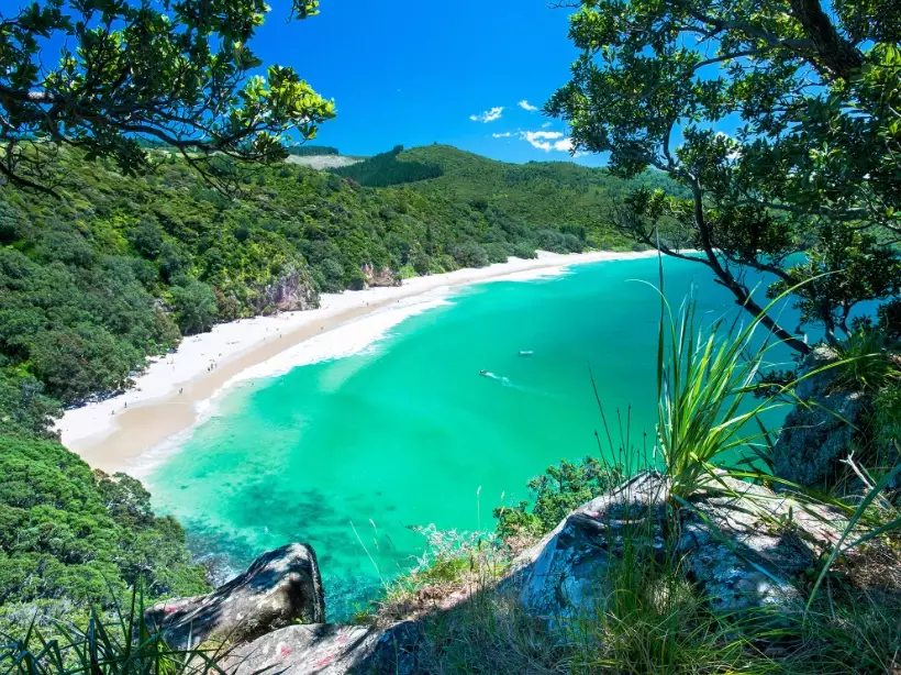 American tourists in New Zealand American tourists in New Zealand