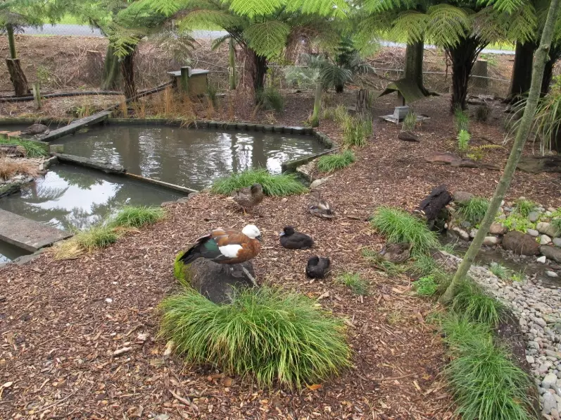 New Zealand travel New Zealand travel