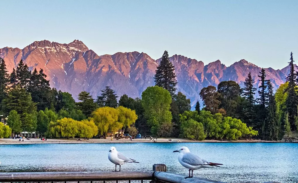 US New Zealand relations US New Zealand relations