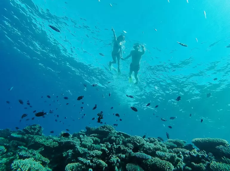 Fiji snorkeling season