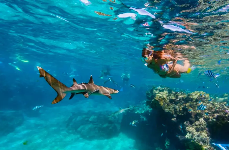 Fiji snorkeling season